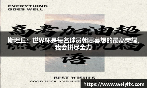 斯坦丘：世界杯是每名球员朝思暮想的最高荣耀，我会拼尽全力